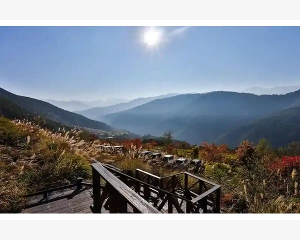 中医调理脾胃虚寒，重拾健康生活