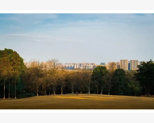 中医调理脾胃虚导致的鼻子出血
