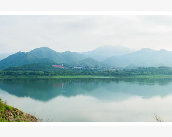 大米汤：一碗神奇的痰化良方